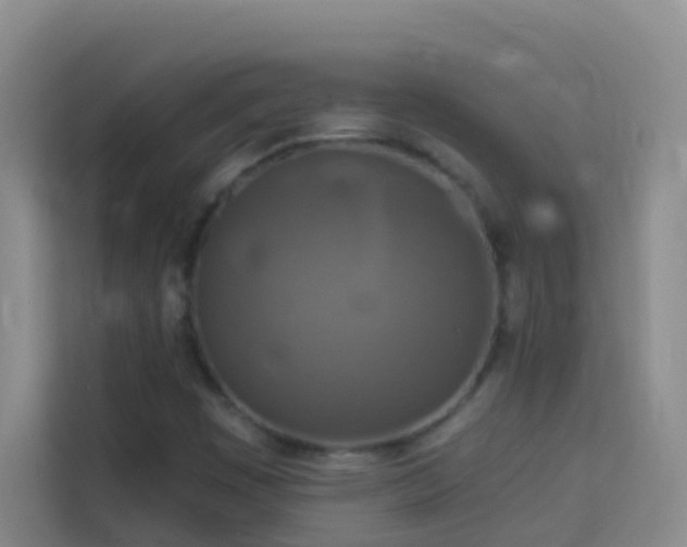 X0000114131449200910081234