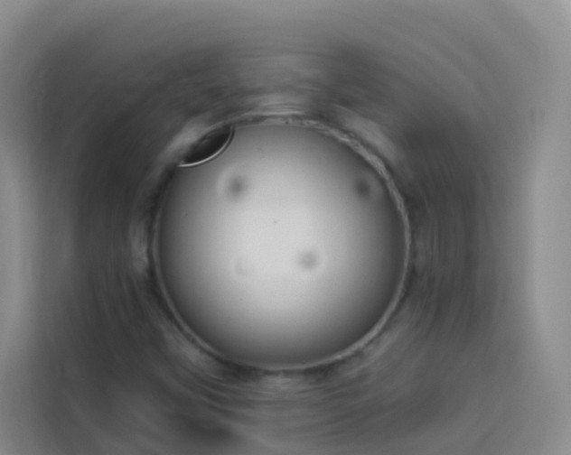 X0000114131451200910081234