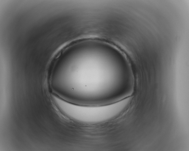 X0000114131452200910081234