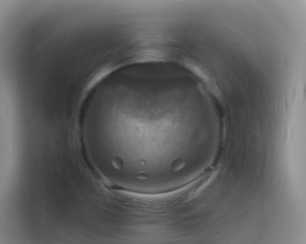X0000114131453200910081234