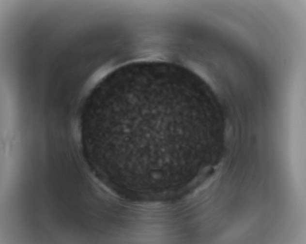 X0000114131455200910081234