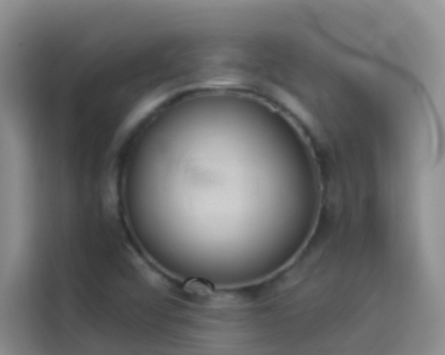 X0000114131456200910081234