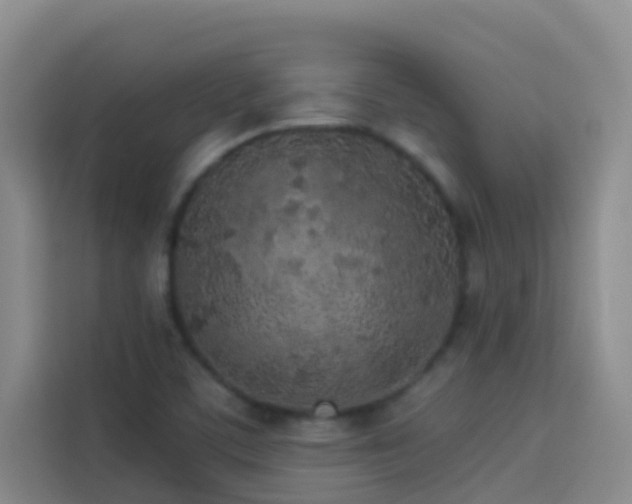 X0000114131459200910081234