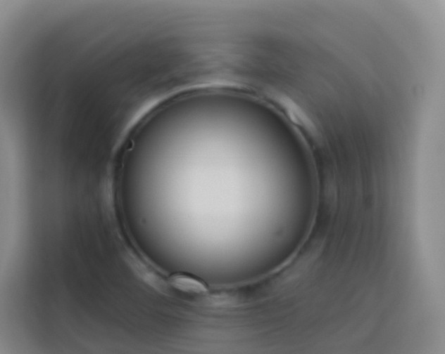 X0000114131460200910081234