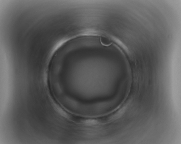 X0000114131463200910081234