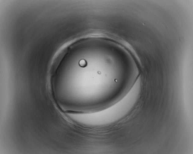X0000114131464200910081234