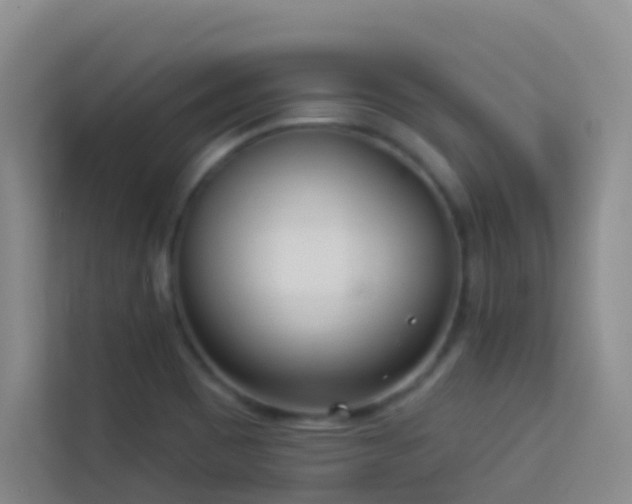 X0000114131465200910081234