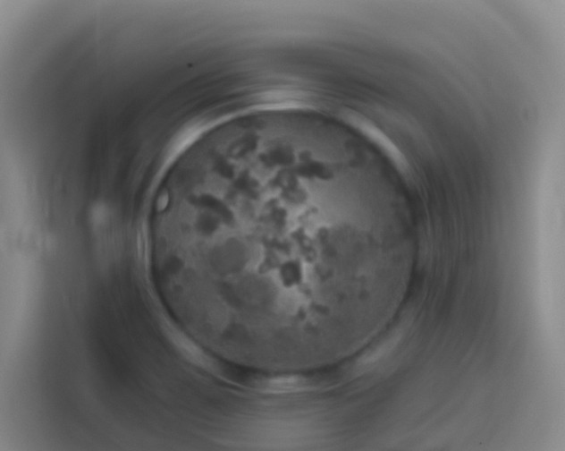 X0000114131467200910081234
