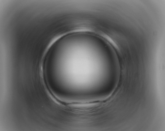 X0000114131468200910081234