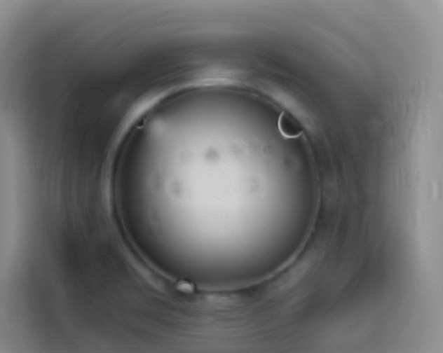 X0000114131469200910081234