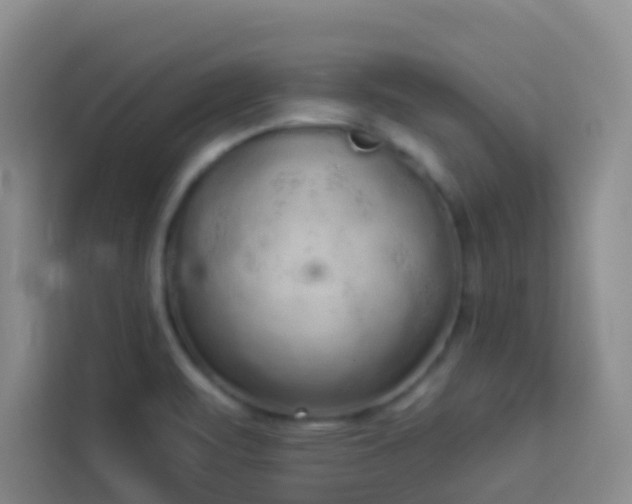 X0000114131471200910081234