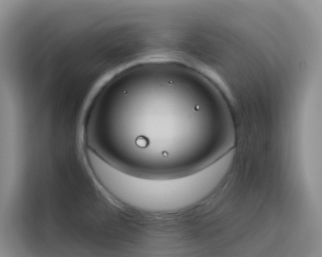 X0000114131472200910081234