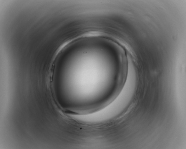 X0000114131473200910081234