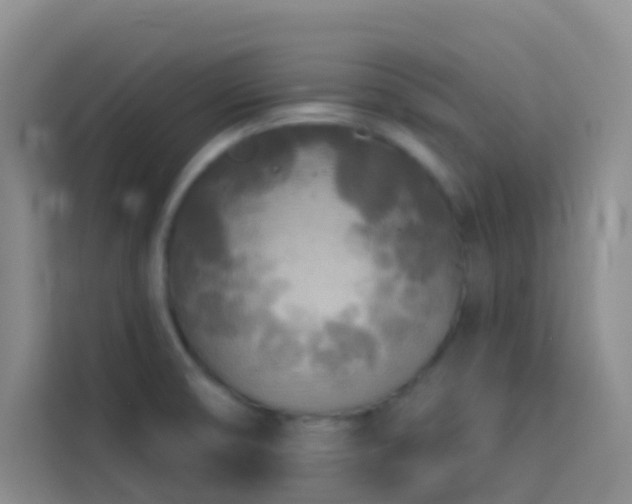 X0000114131474200910081234