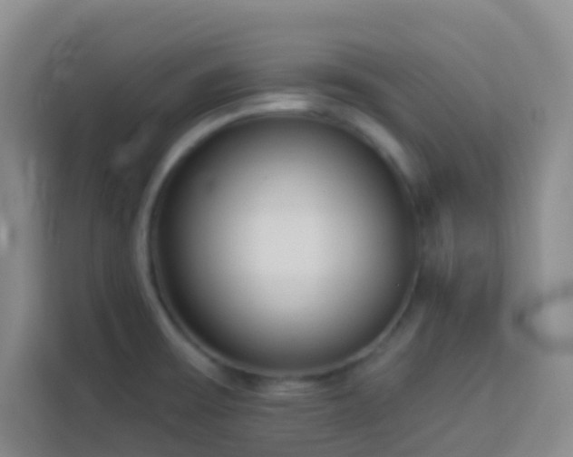 X0000114131475200910081234