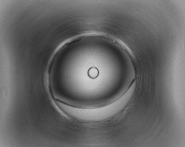 X0000114131476200910081234