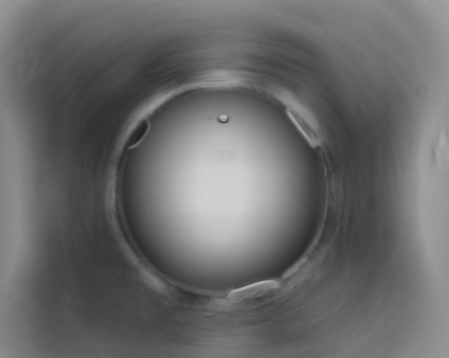 X0000114131477200910081234