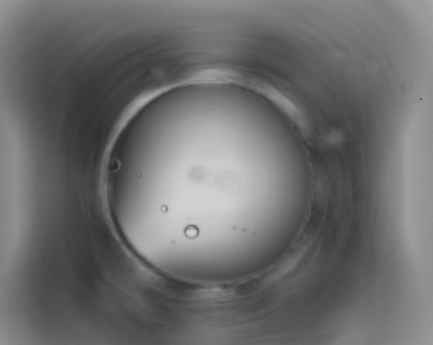 X0000114131478200910081234