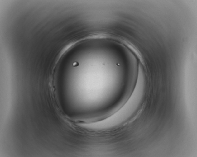 X0000114131481200910081234