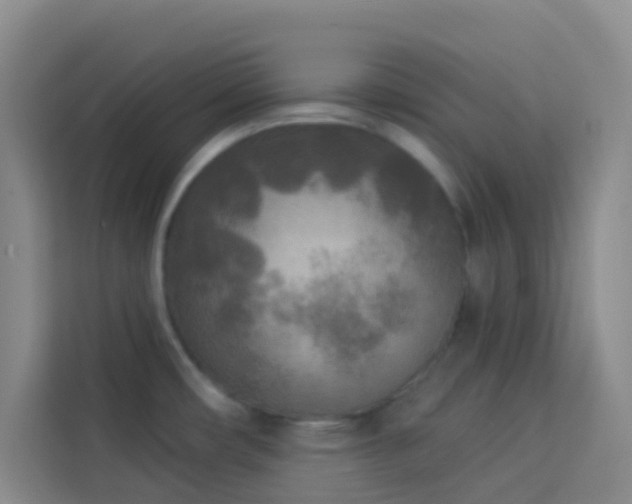 X0000114131482200910081234