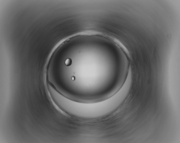 X0000114131484200910081234