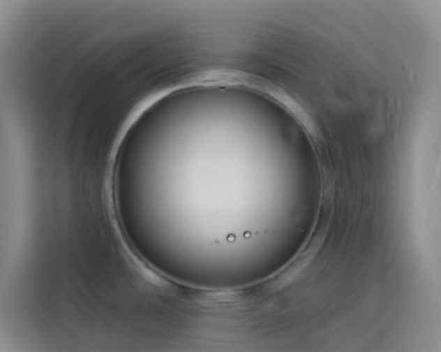 X0000114131486200910081234