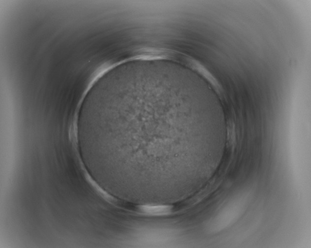 X0000114131487200910081234