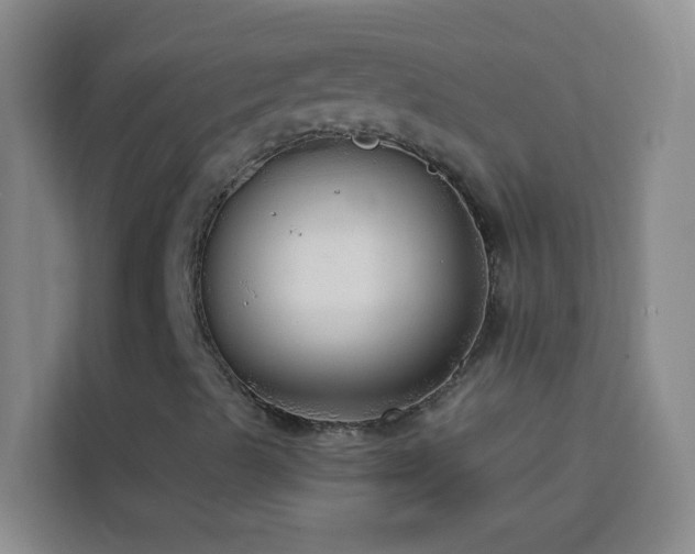 X0000114131489200910081233