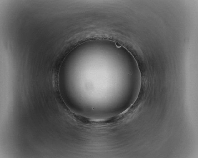 X0000114131490200910081233