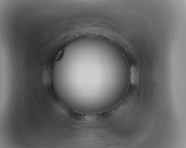 X0000114131491200910081233