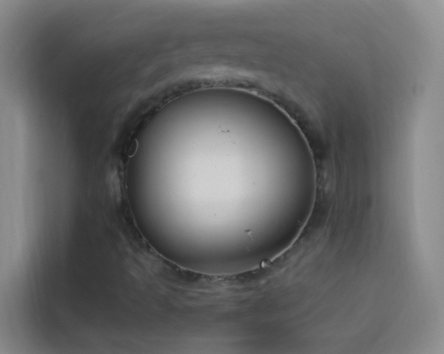 X0000114131493200910081233