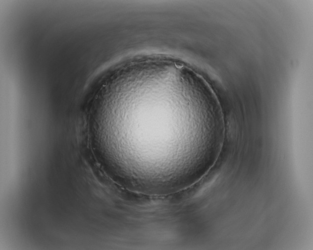 X0000114131494200910081233