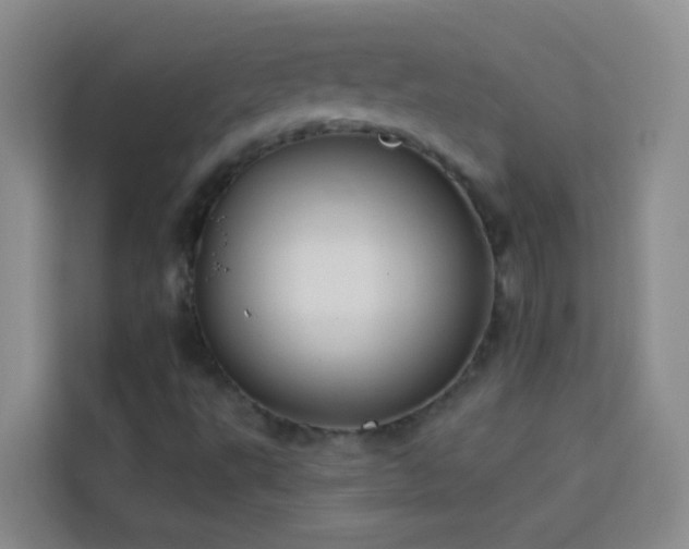 X0000114131495200910081233