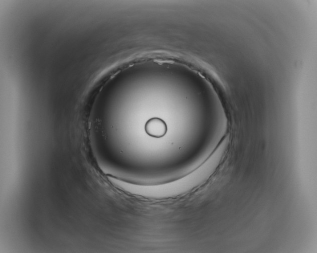 X0000114131496200910081233