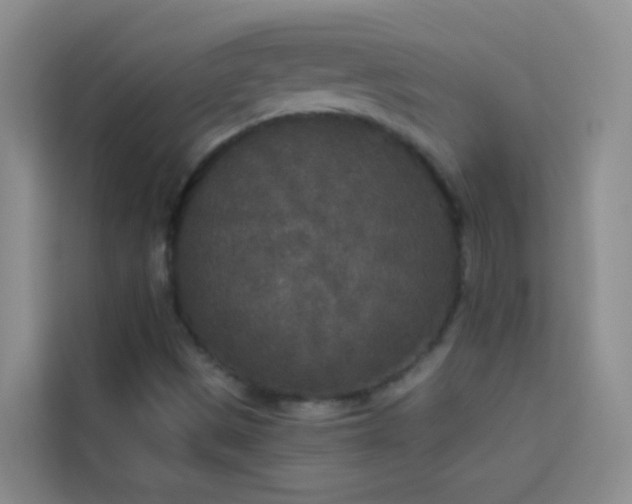 X0000114131497200910081233