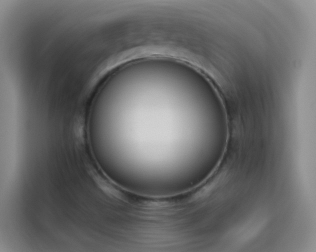 X0000114131499200910081233