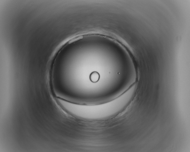 X0000114131500200910081233