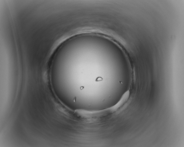 X0000114131501200910081233