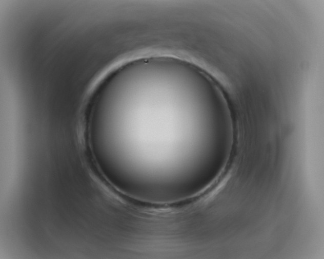 X0000114131502200910081233