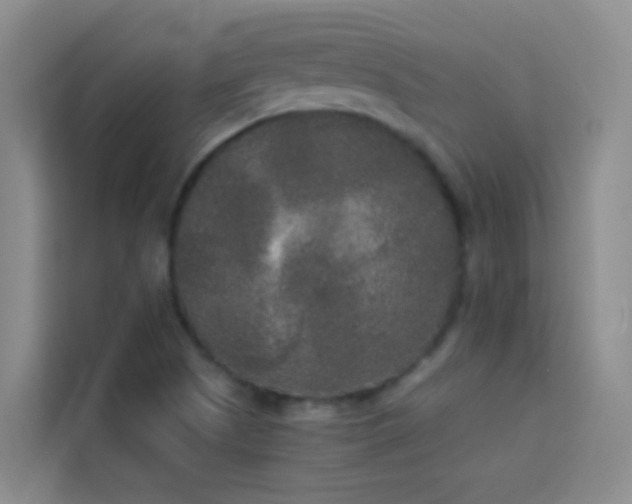 X0000114131505200910081234