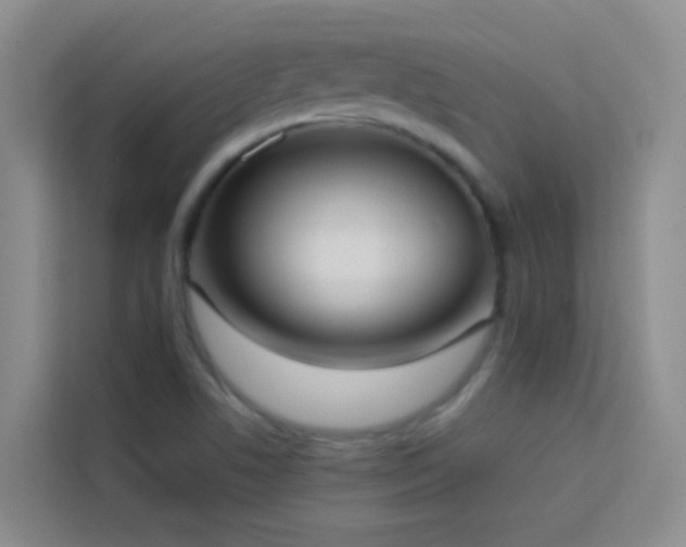 X0000114131506200910081234