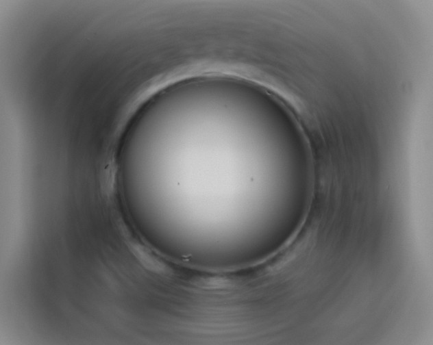 X0000114131507200910081234