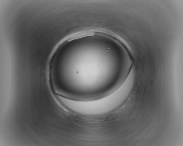 X0000114131508200910081234
