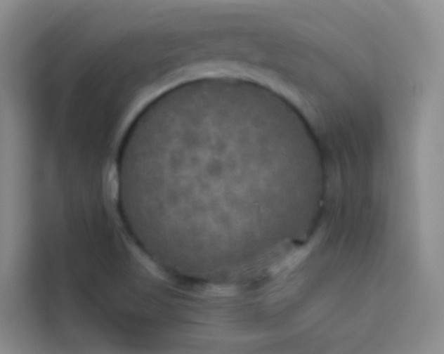 X0000114131509200910081234