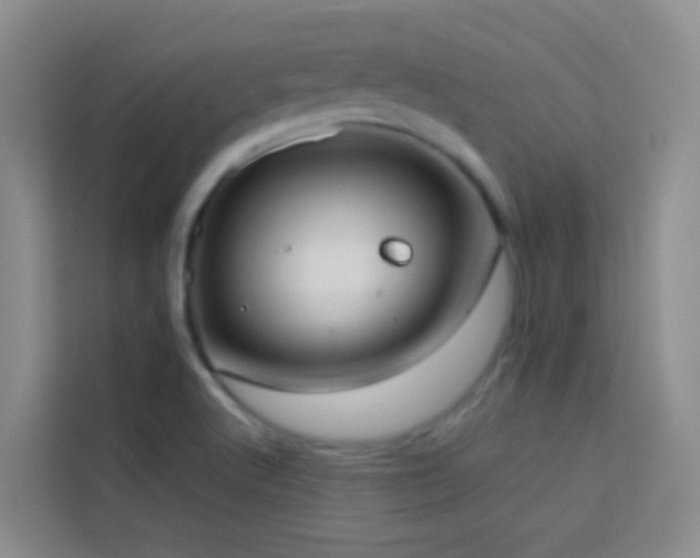 X0000114131512200910081234