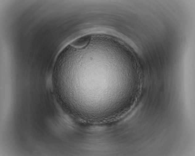 X0000114131513200910081234