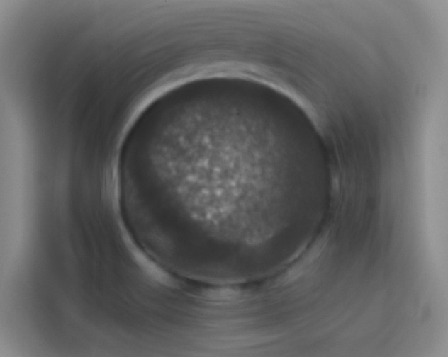 X0000114131515200910081234