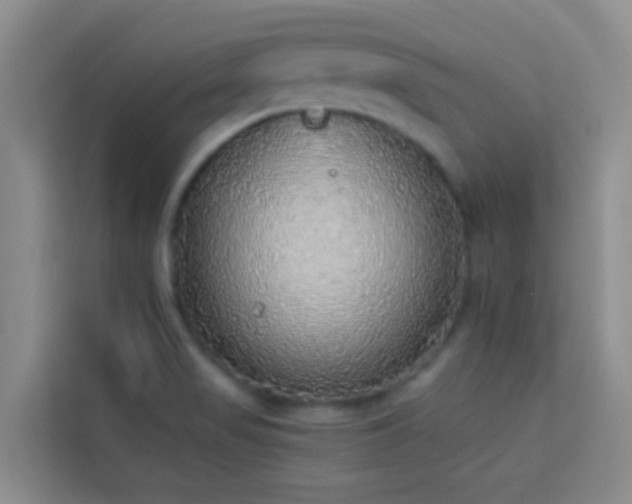 X0000114131517200910081234