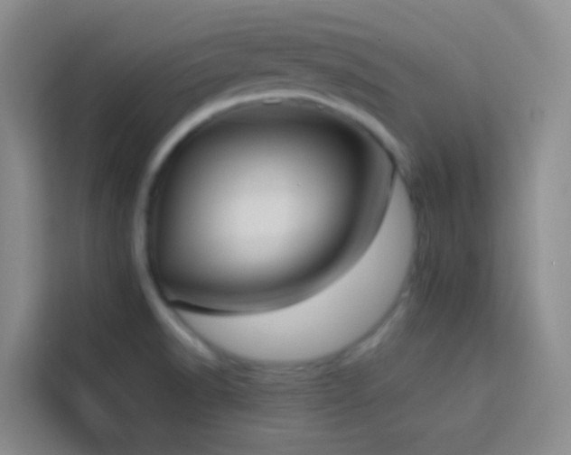 X0000114131518200910081234