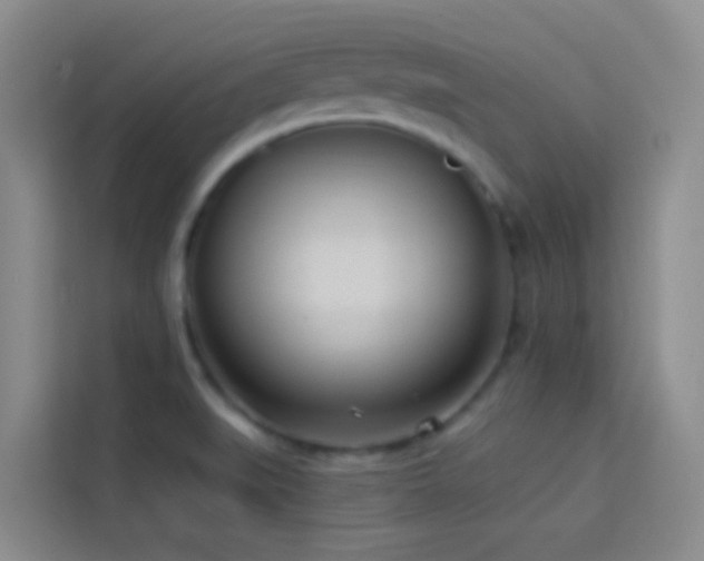 X0000114131519200910081234